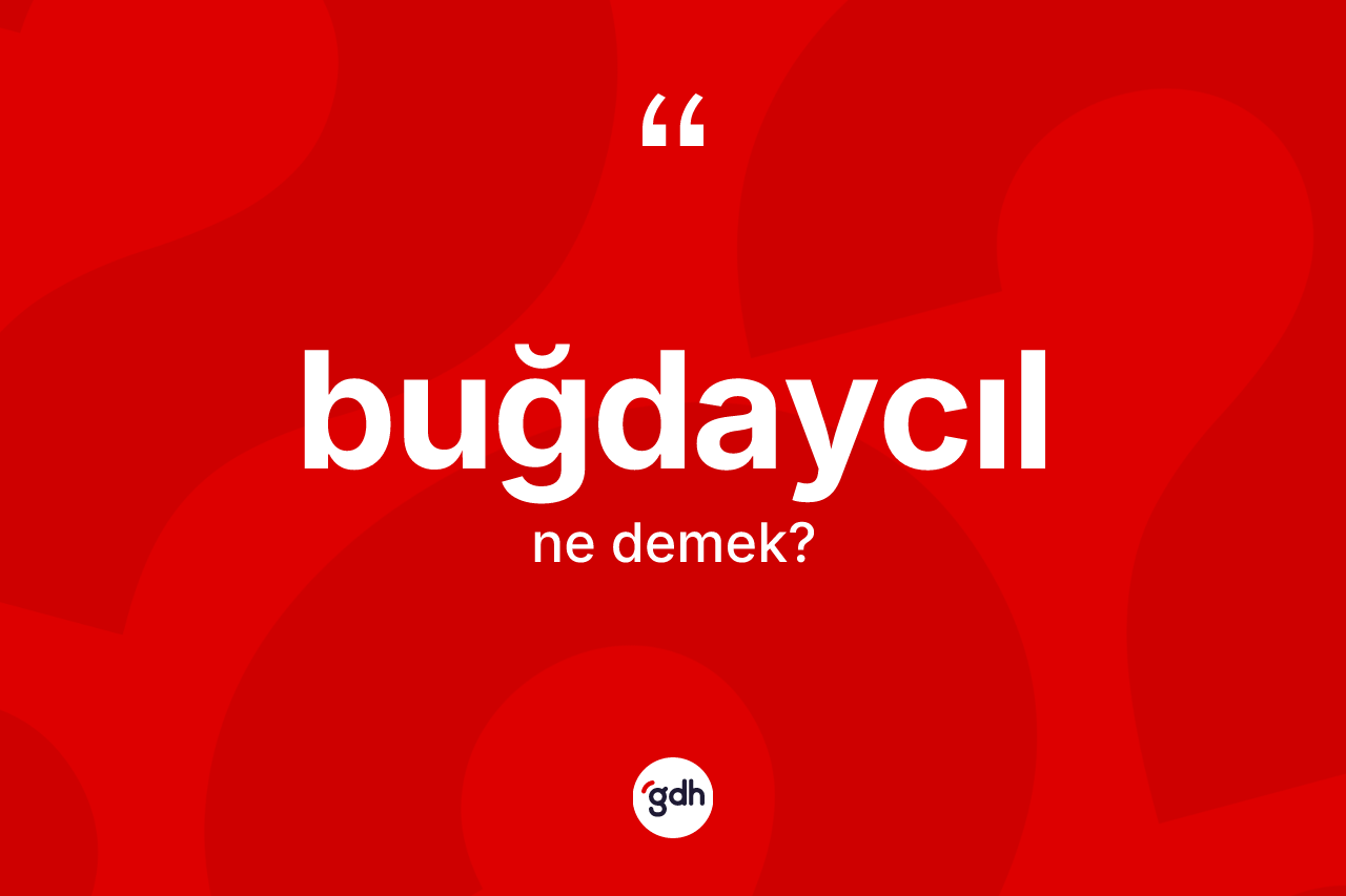 Buğdaycıl kelimesi nedir?