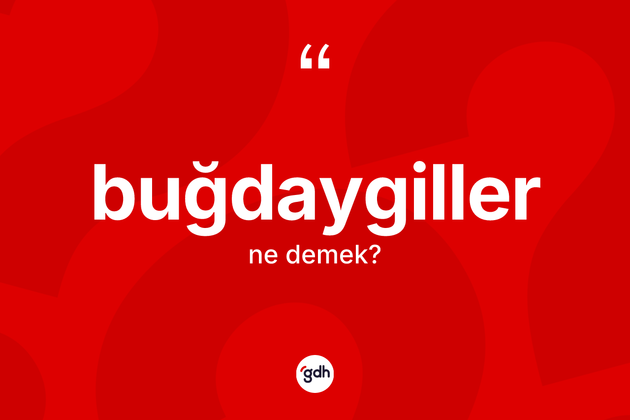 Buğdaygiller kelimesinin tanımı nedir?