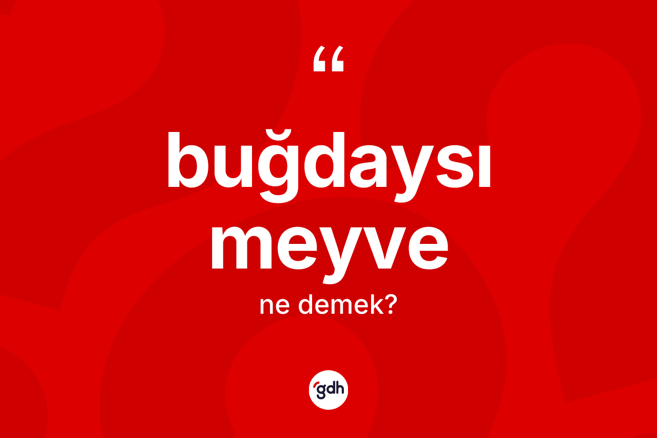 Buğdaysı meyve kelimesinin tanımı nedir?