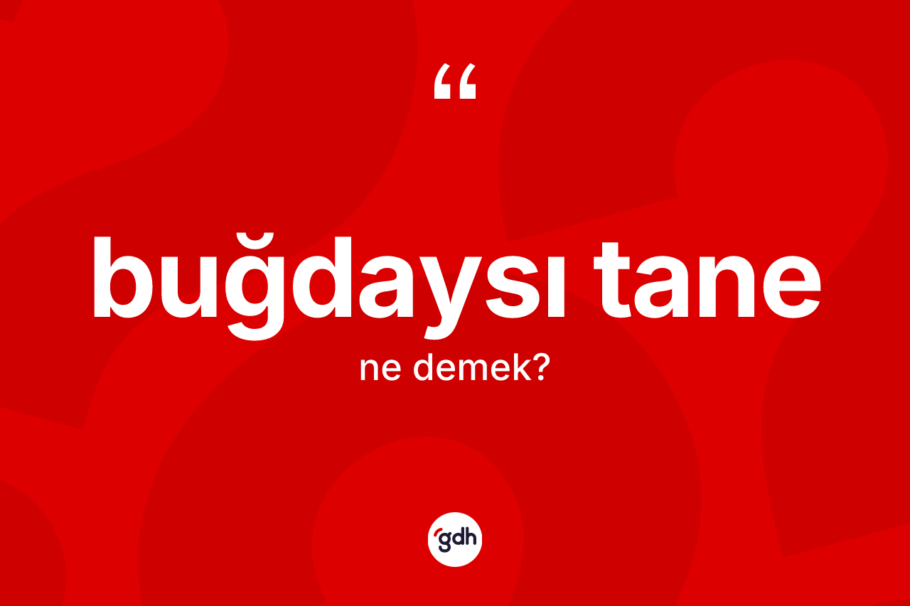 Buğdaysı tane kelimesinin anlamı nedir?