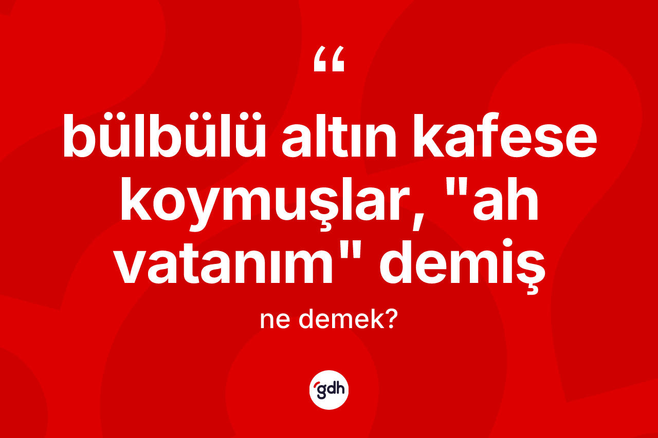 Bülbülü altın kafese koymuşlar, "ah vatanım" demiş ifadesinin kısaca anlamı nedir?