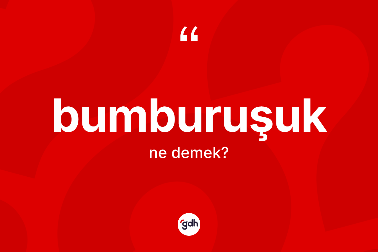 Bumburuşuk kelimesinin tanımı nedir? Bumburuşuğun TDK'ya göre anlamı nedir?