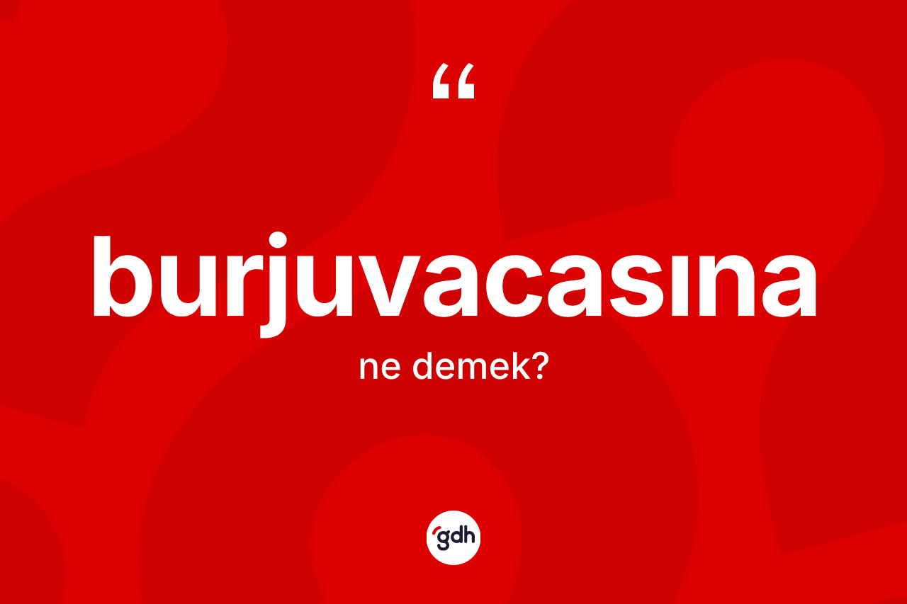 Burjuvacasına kelimesinin anlamı nedir?