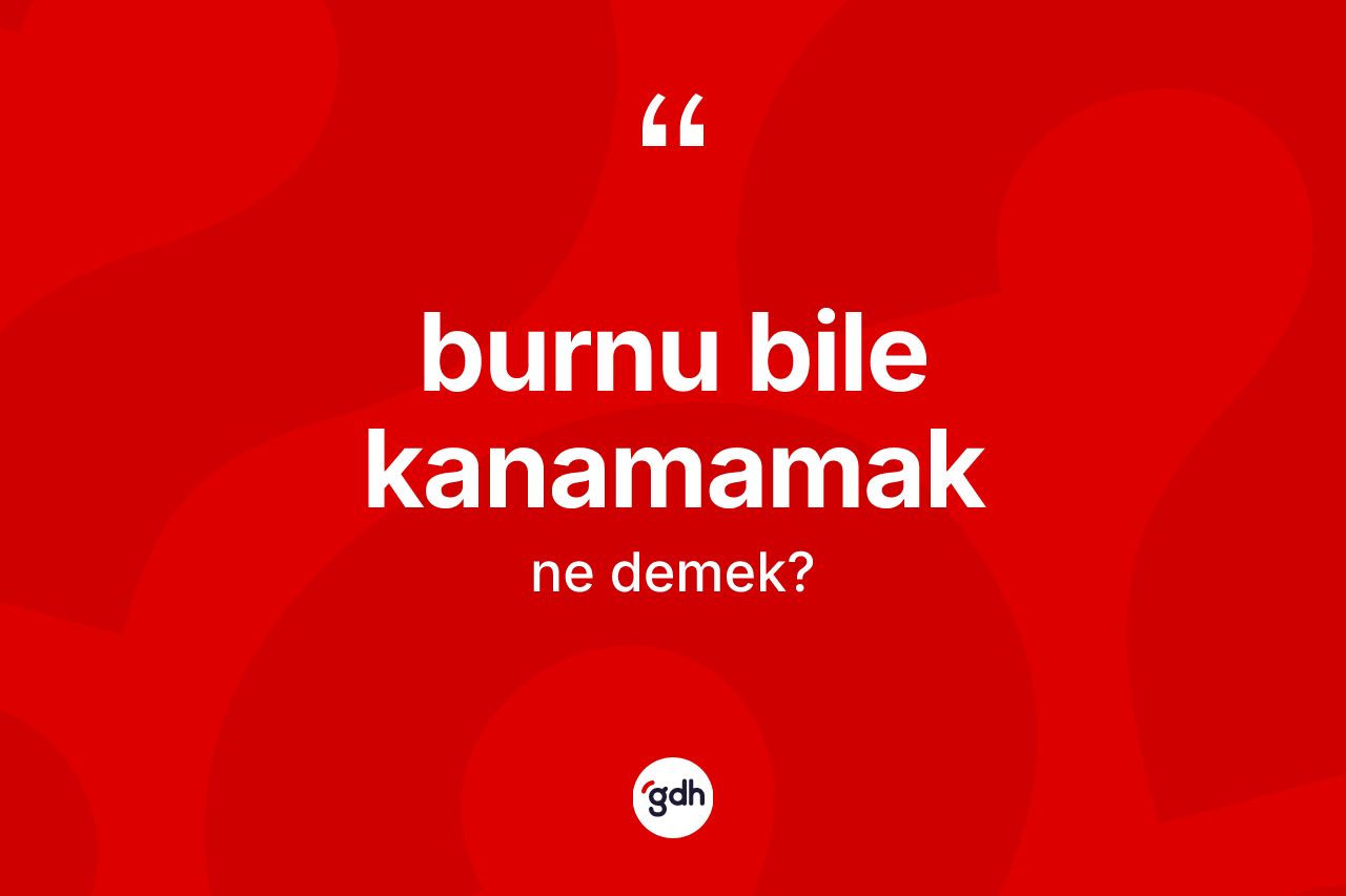 Burnu bile kanamamak sözü ne demektir?