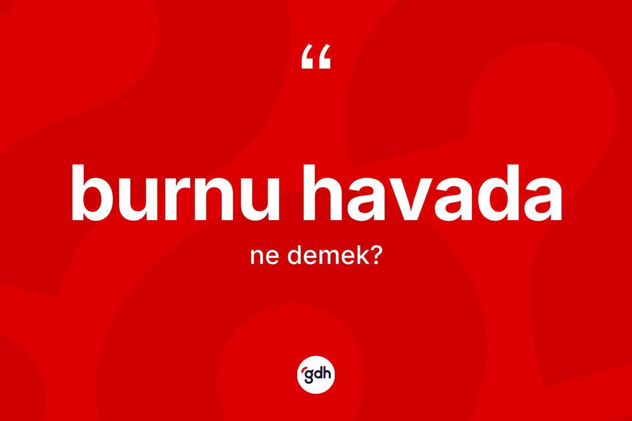 Burnu havada kelimesinin sözlükteki tanımı nedir?