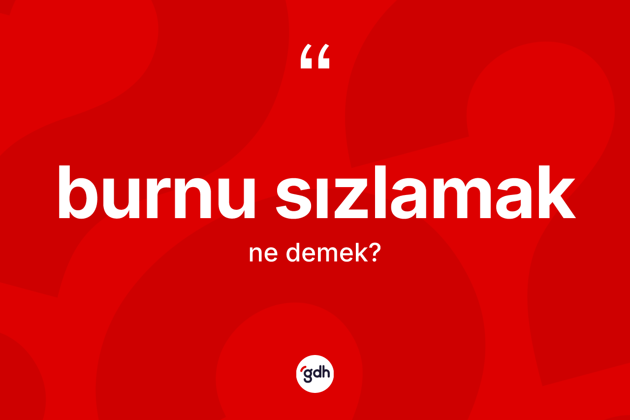 Burnu sızlamak ifadesinin kısaca anlamı nedir?