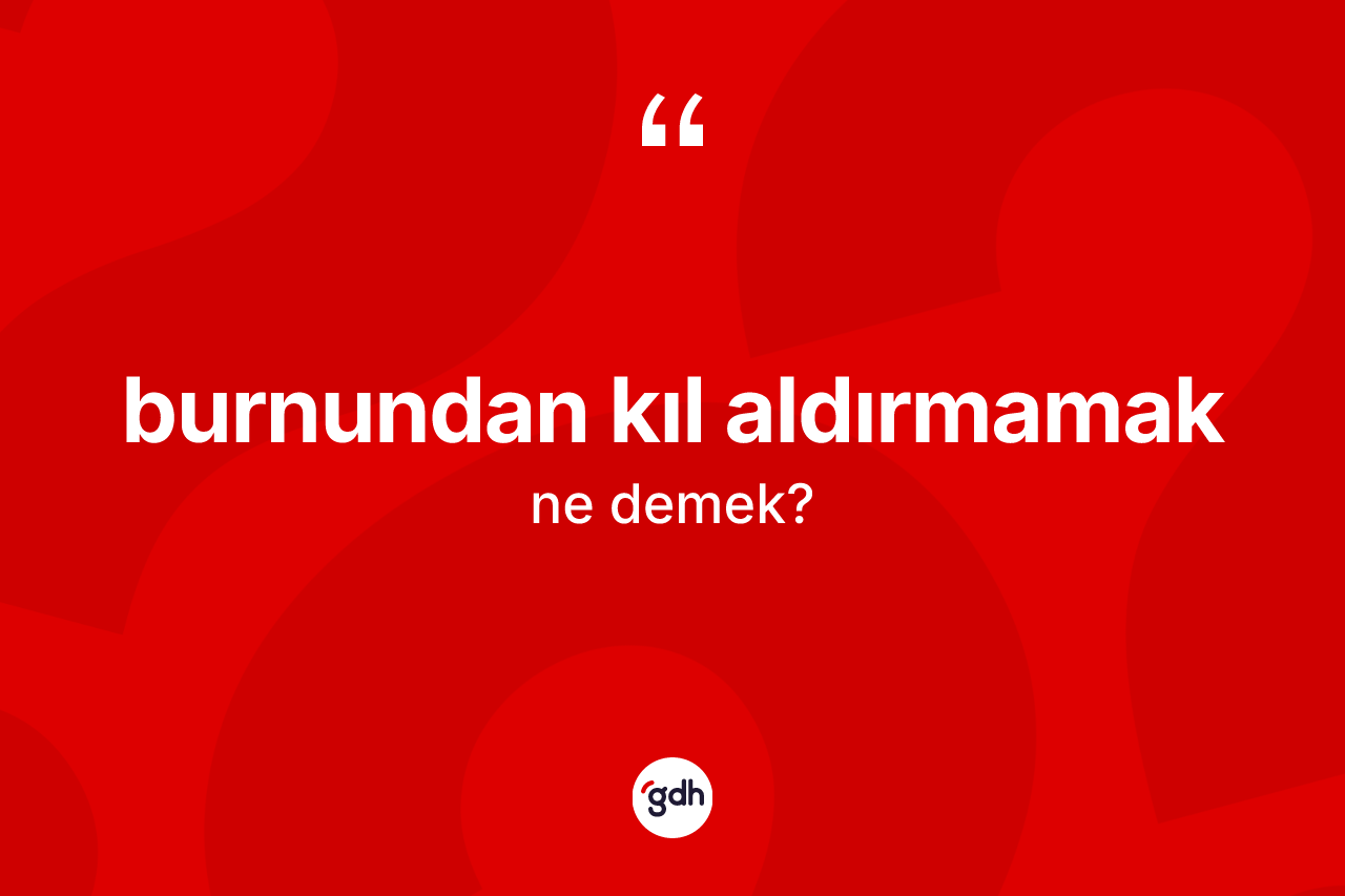 Burnundan kıl aldırmamak ne anlama gelir?