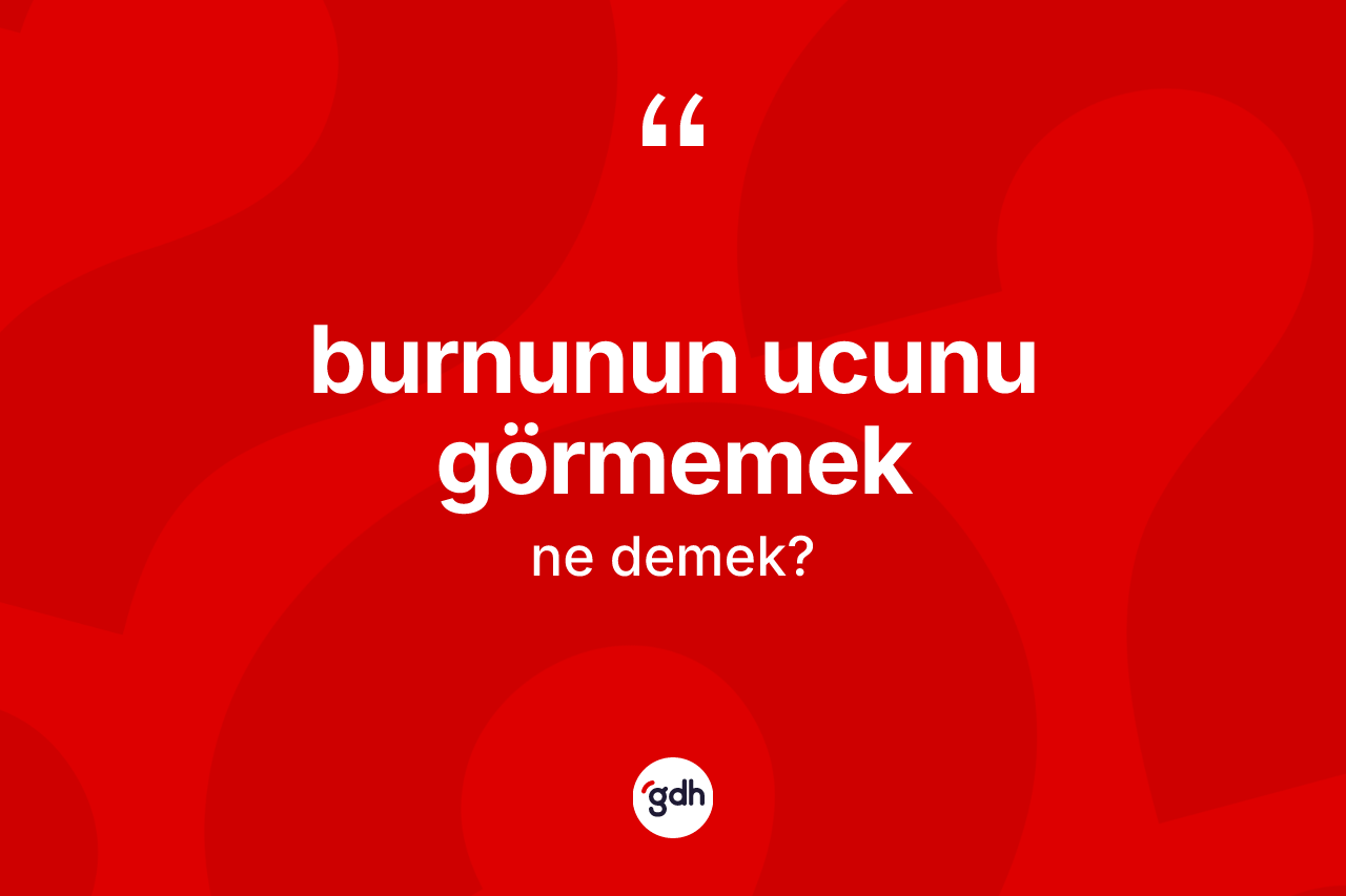 Burnunun ucunu görmemek sözü ne demek?