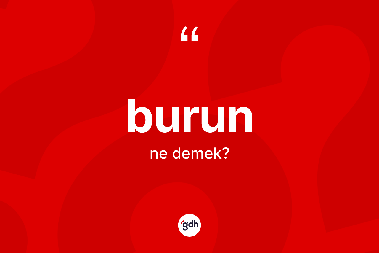 Burun kelimesinin sözlükteki tanımı nedir?