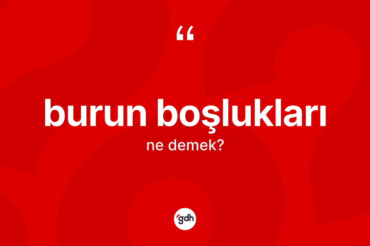 Burun boşlukları kelimesi ne demek?