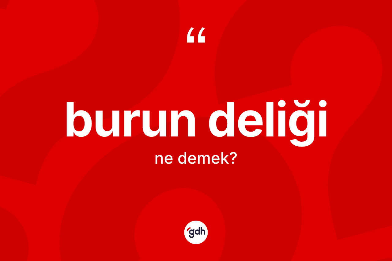 Burun deliği kelimesinin tanımı nedir?