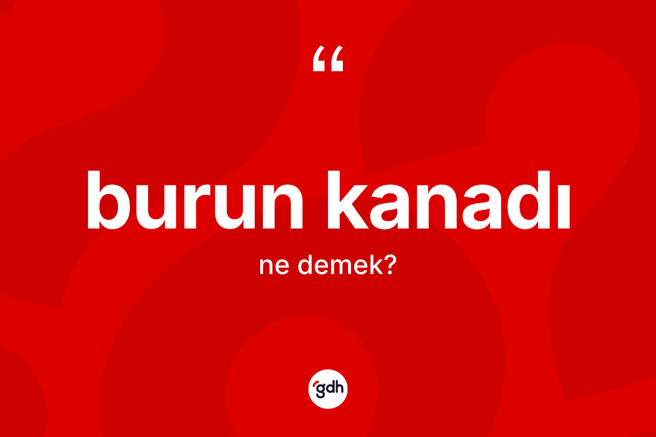 Burun kanadı kelimesinin sözlükteki tanımı nedir?