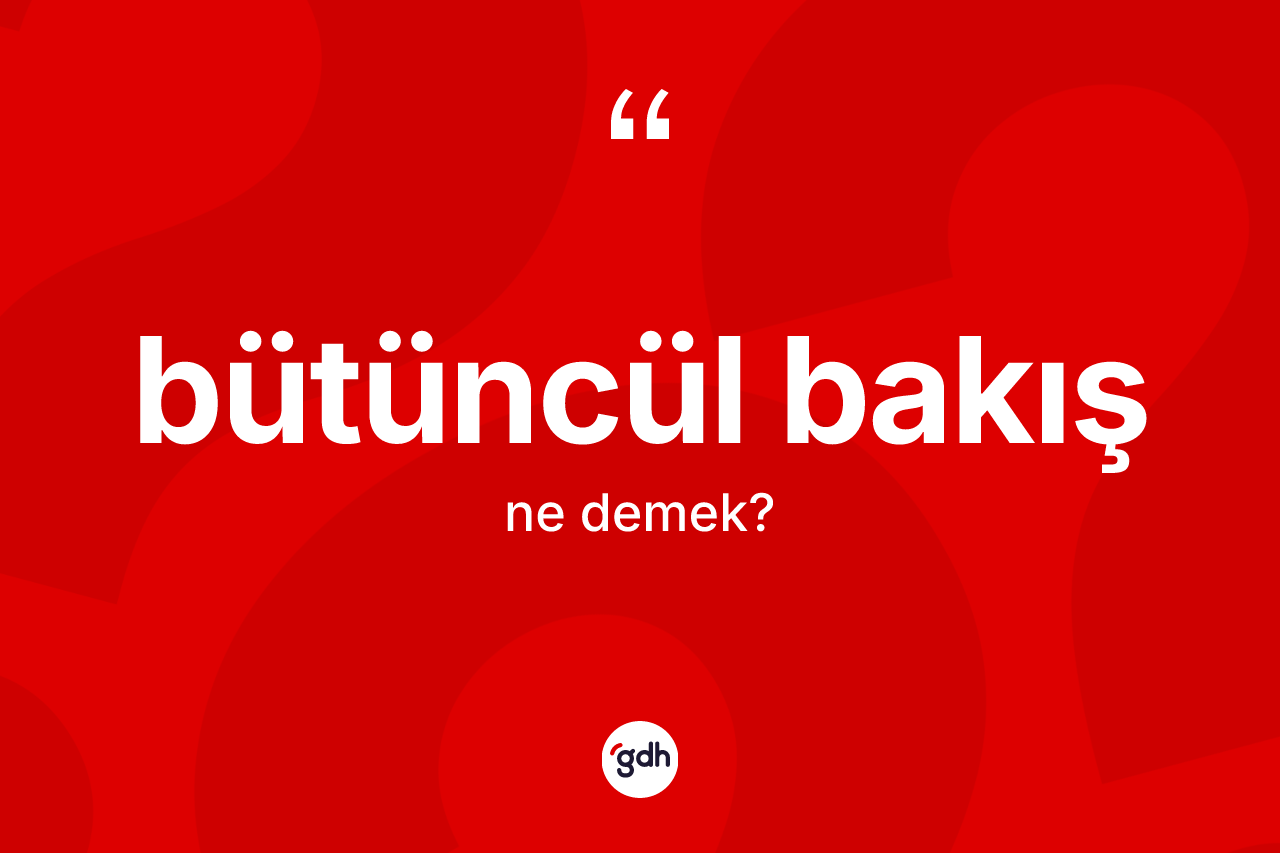 Bütüncül bakış kelimesi ne demek?