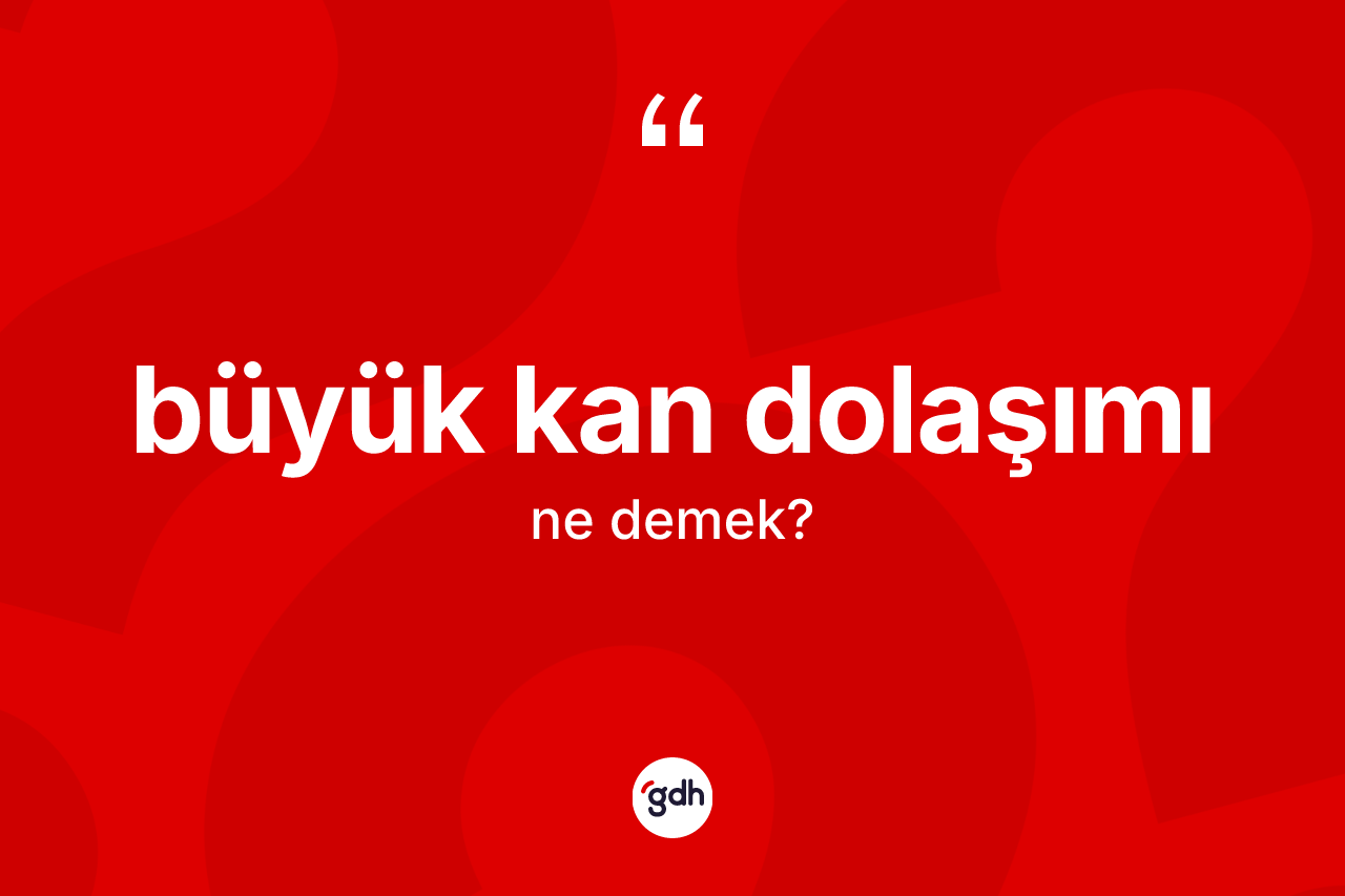 Büyük kan dolaşımı kelimesi nedir?