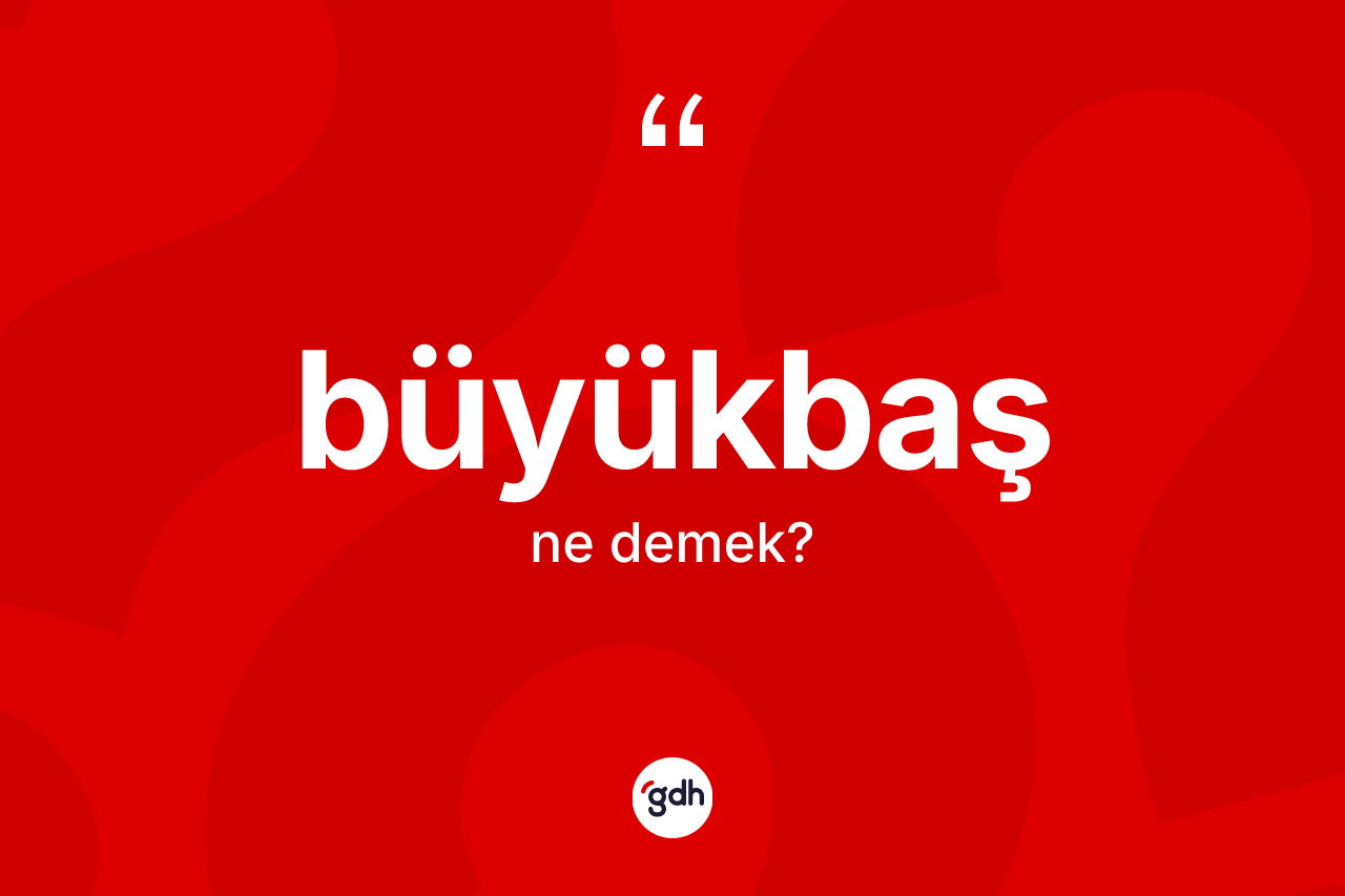 Büyükbaş kelimesinin sözlükteki tanımı nedir? Büyükbaşın TDK'ya göre anlamı nedir?