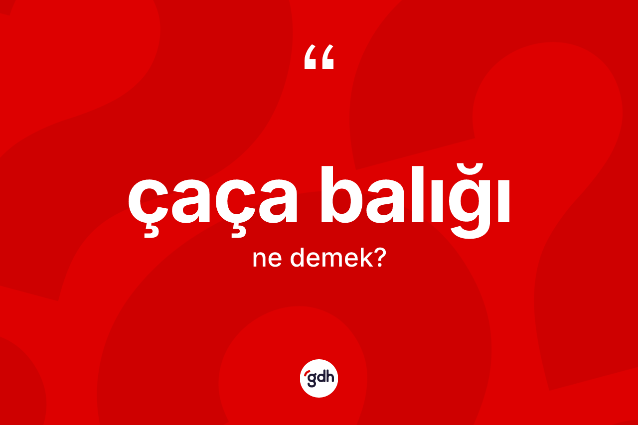Çaça balığı kelimesinin anlamı nedir? Çaça balığının sözlükteki anlamı nedir?