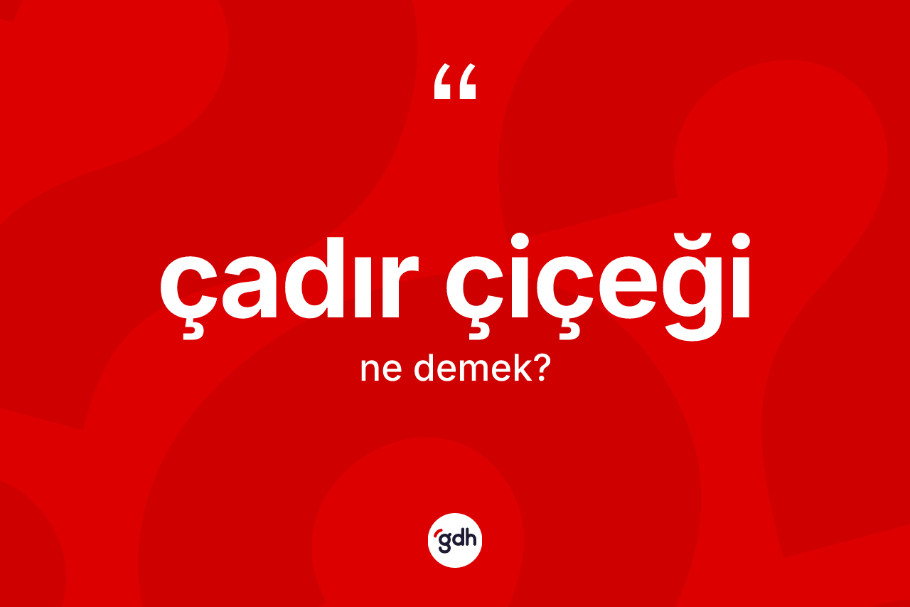 Çadır çiçeği kelimesinin anlamı nedir? Çadır çiçeğinin TDK'ya göre anlamı nedir?