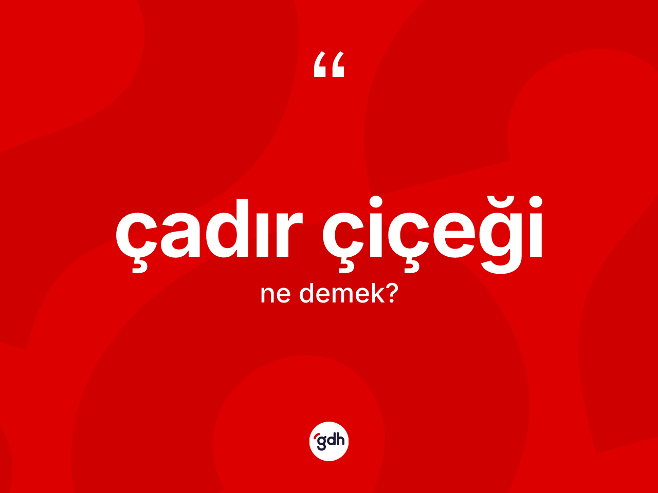 Çadır çiçeği kelimesinin anlamı nedir? Çadır çiçeğinin TDK'ya göre anlamı nedir?