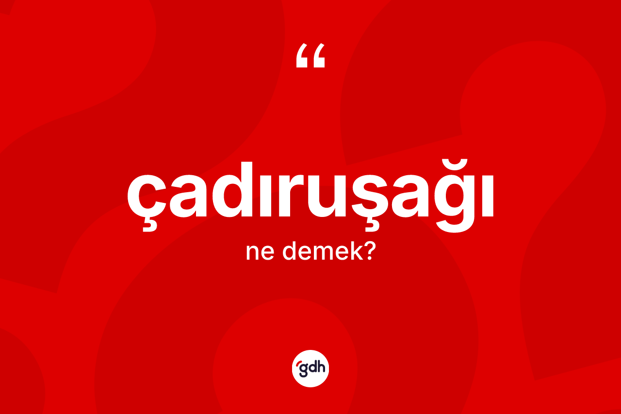 Çadıruşağı kelimesinin tanımı nedir? Çadıruşağının TDK'ya göre anlamı nedir?