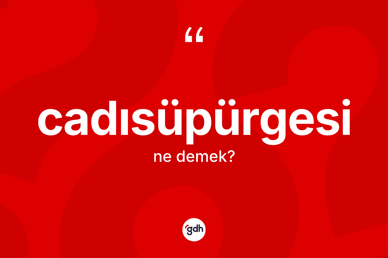 Cadısüpürgesi kelimesinin sözlükteki tanımı nedir?