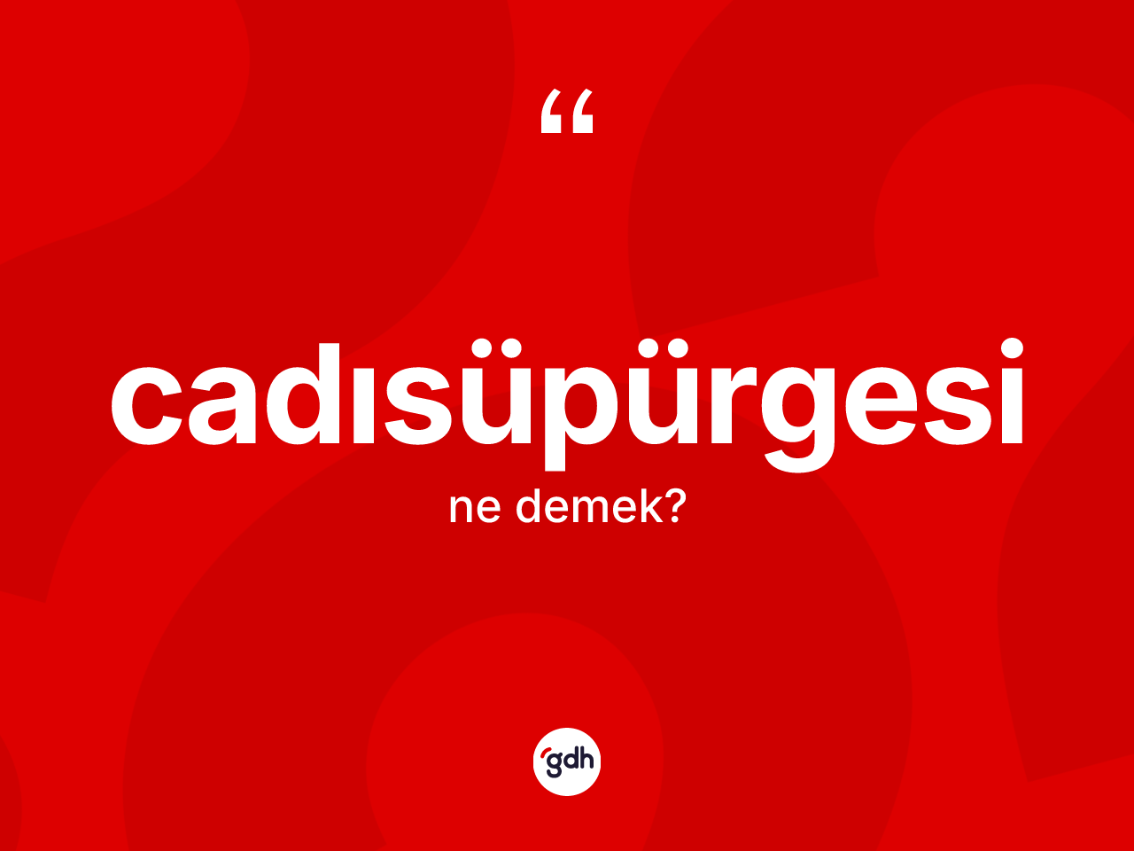 Cadısüpürgesi kelimesinin sözlükteki tanımı nedir? Cadısüpürgesinin TDK'ya göre anlamı nedir?