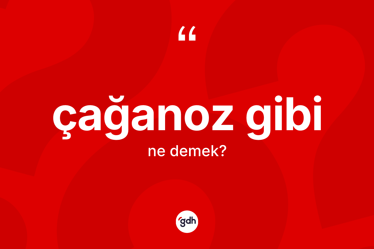 Çağanoz gibi ifadesi ne demektir? Çağanoz gibi sözü nerede kullanılır?