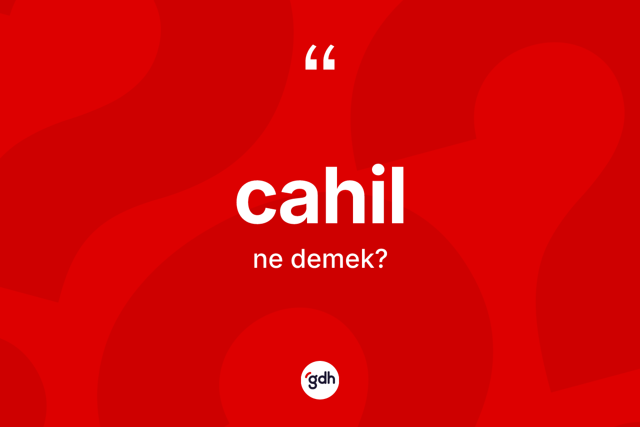 Cahil kelimesinin sözlükteki tanımı nedir?