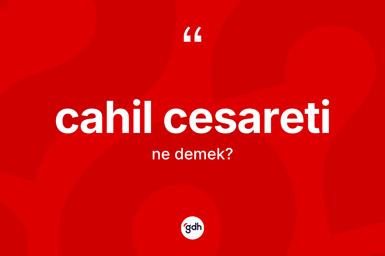 Cahil cesareti kelimesinin tanımı nedir? Cahil cesareti kelimesinin özellikleri nelerdir?
