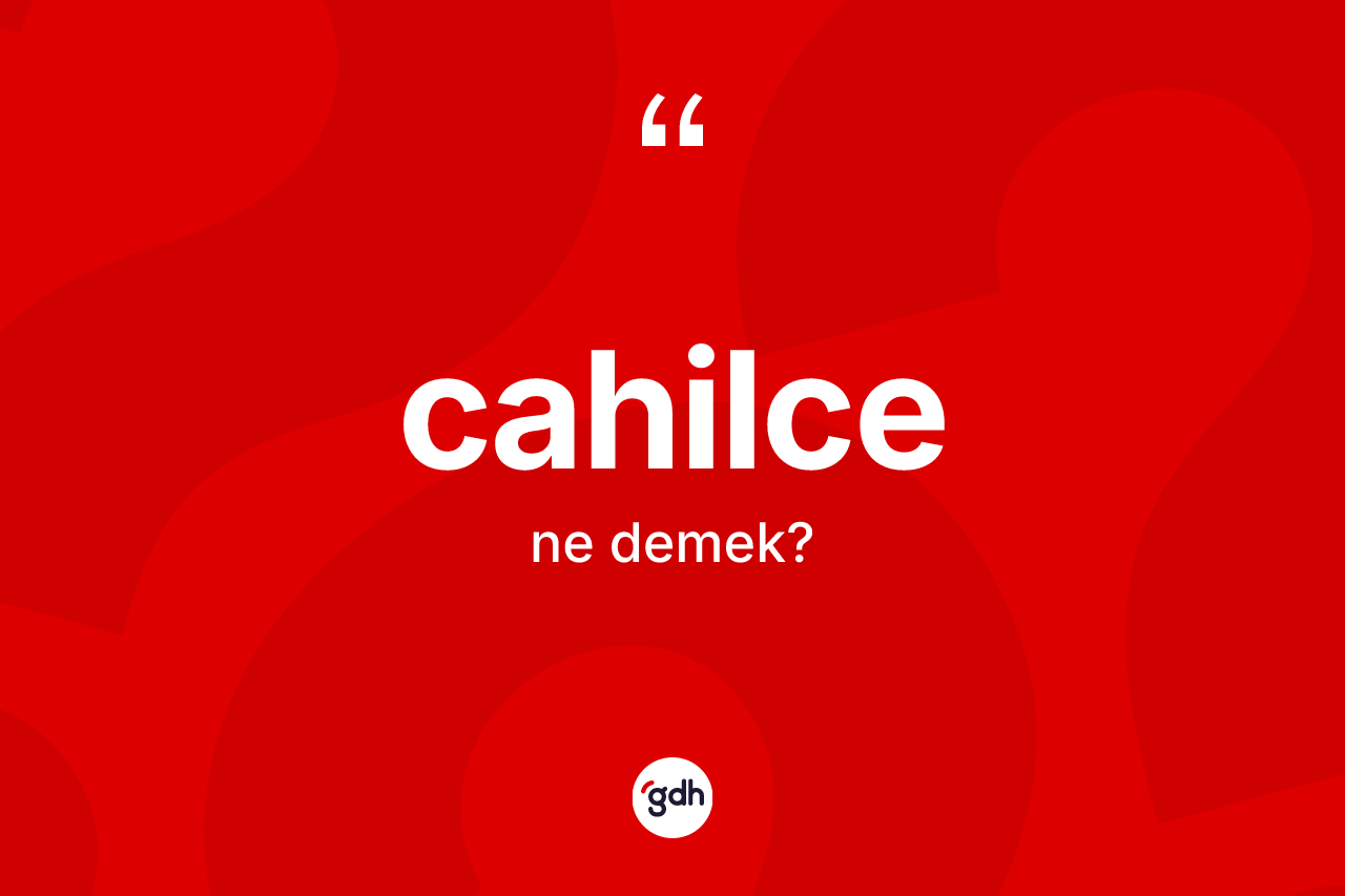 Cahilce kelimesinin anlamı nedir?