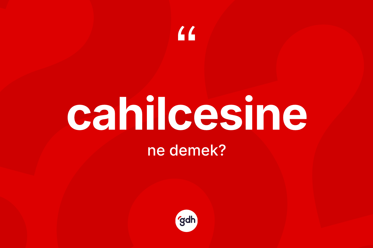 Cahilcesine kelimesinin sözlükteki tanımı nedir?