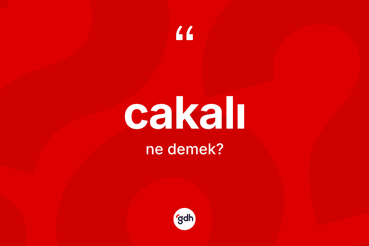 Cakalı kelimesi ne anlama gelir? Cakalının TDK'ya göre anlamı nedir?