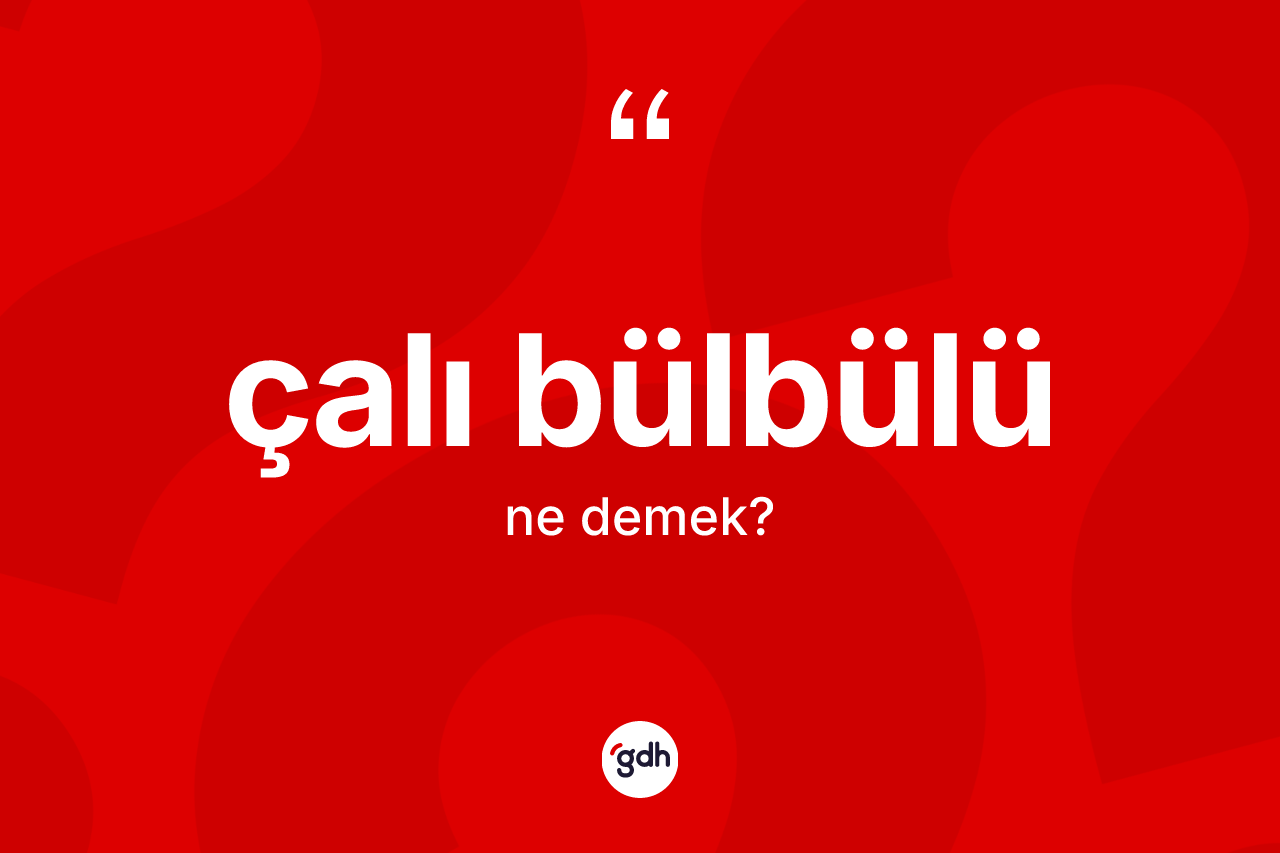 Çalı bülbülü kelimesi ne demek?