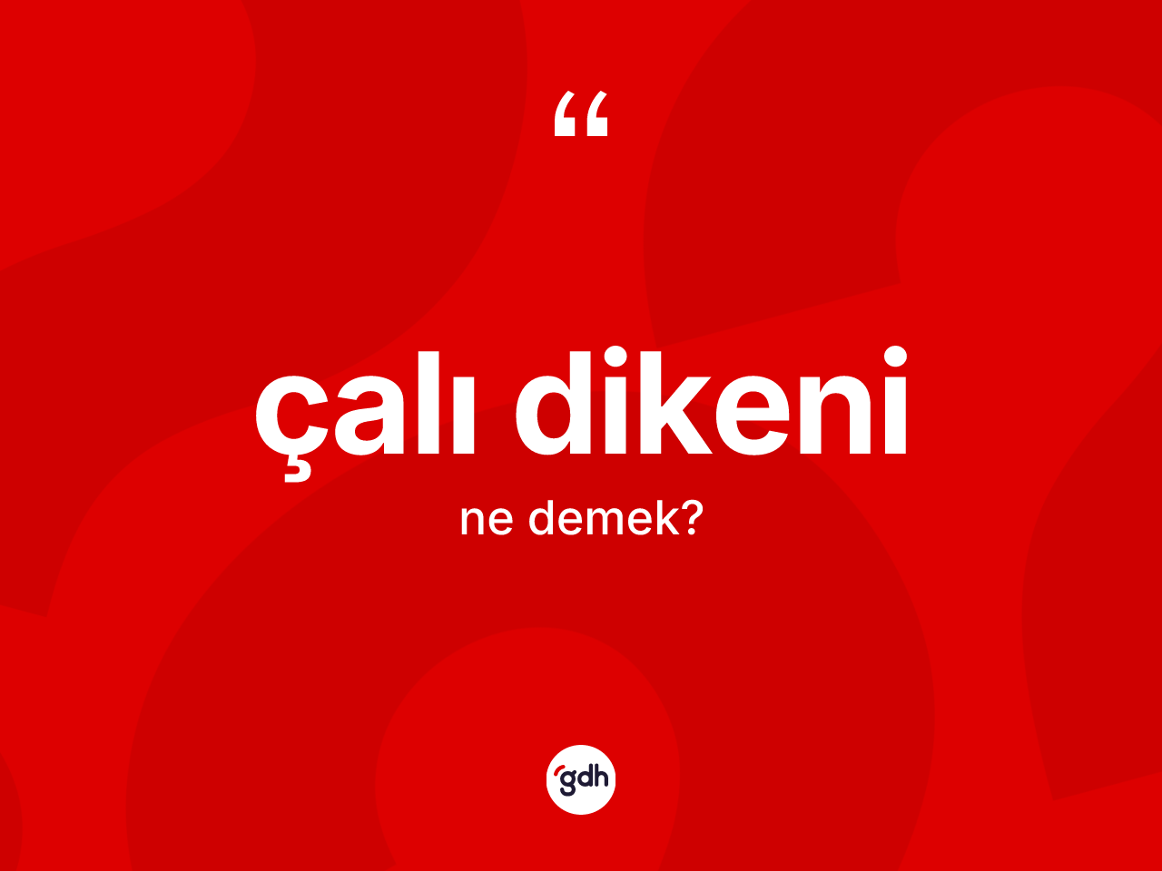 Çalı dikeni kelimesinin sözlükteki tanımı nedir? Çalı dikeninin TDK'ya göre anlamı nedir?