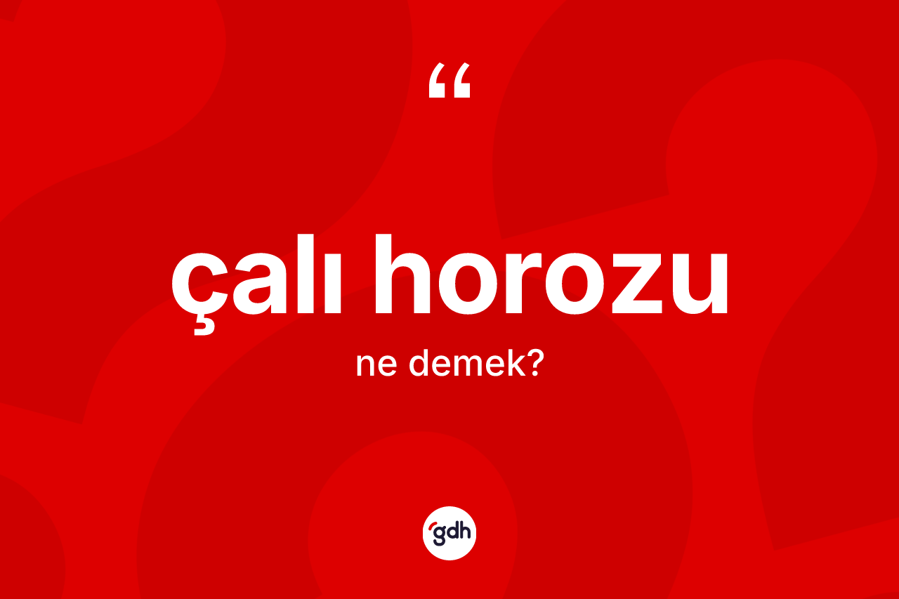 Çalı horozu kelimesi ne anlama gelir?