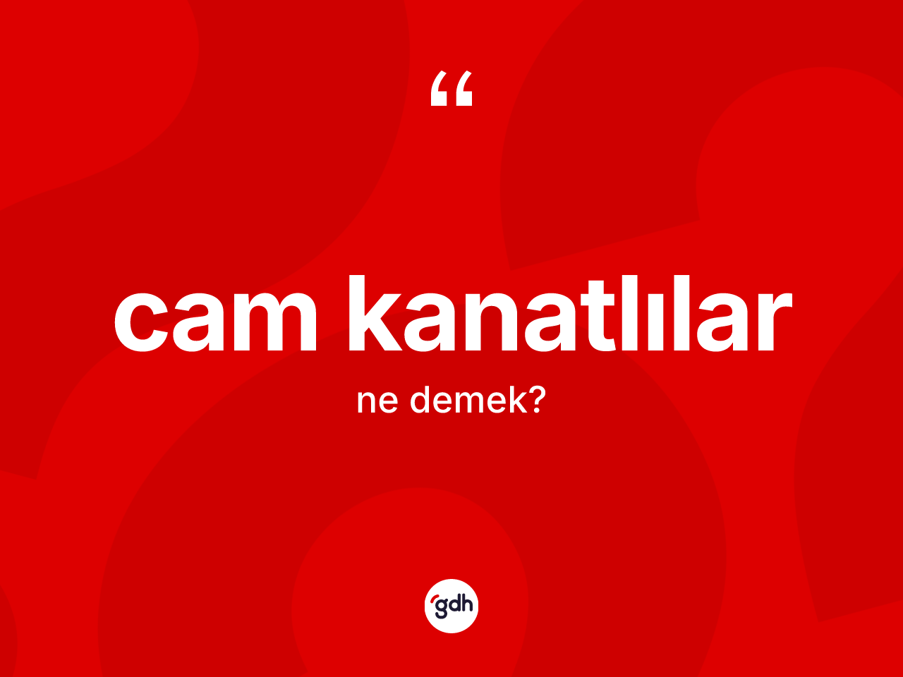 Cam kanatlılar kelimesinin anlamı nedir? Cam kanatlıların sözlükteki anlamı nedir?