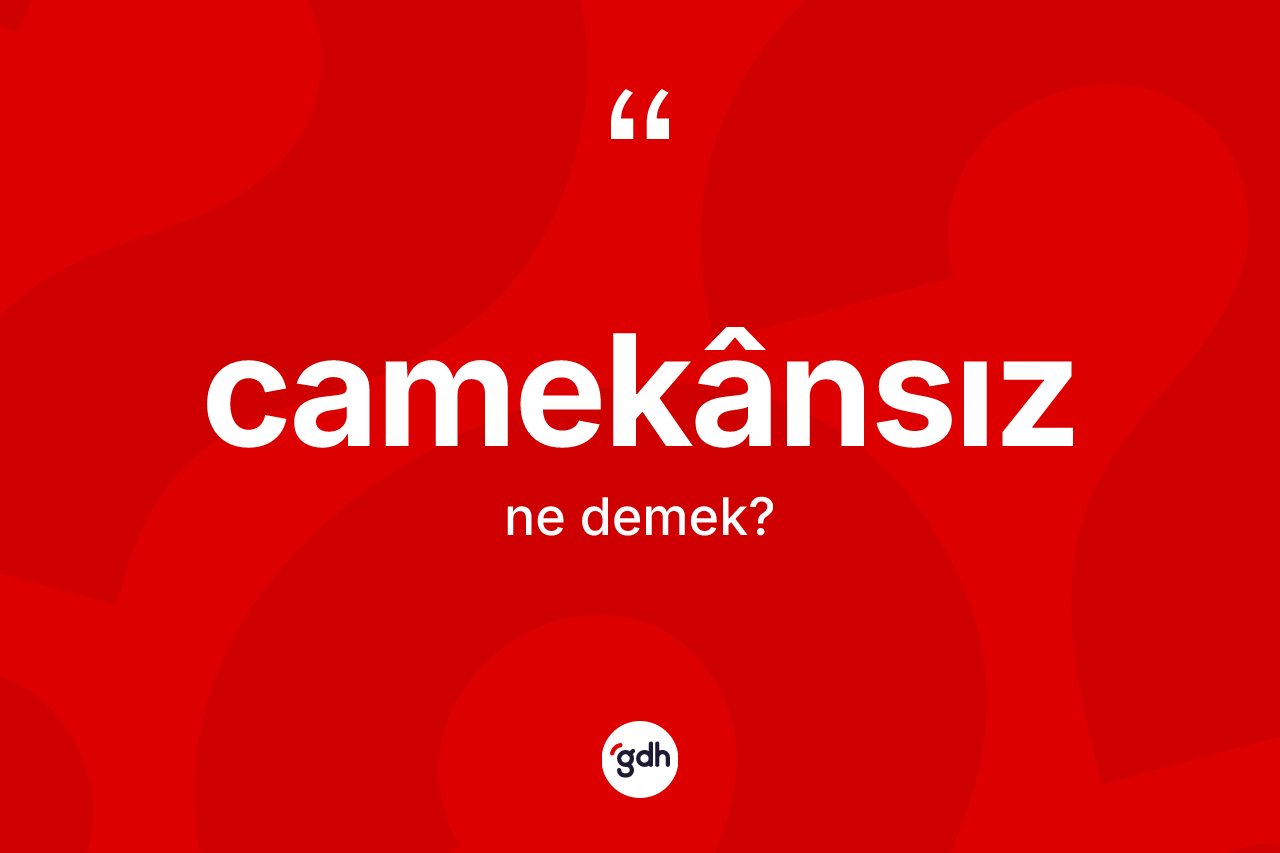 Camekânsız kelimesinin anlamı nedir? Camekânsız kelimesinin TDK anlamı nedir?
