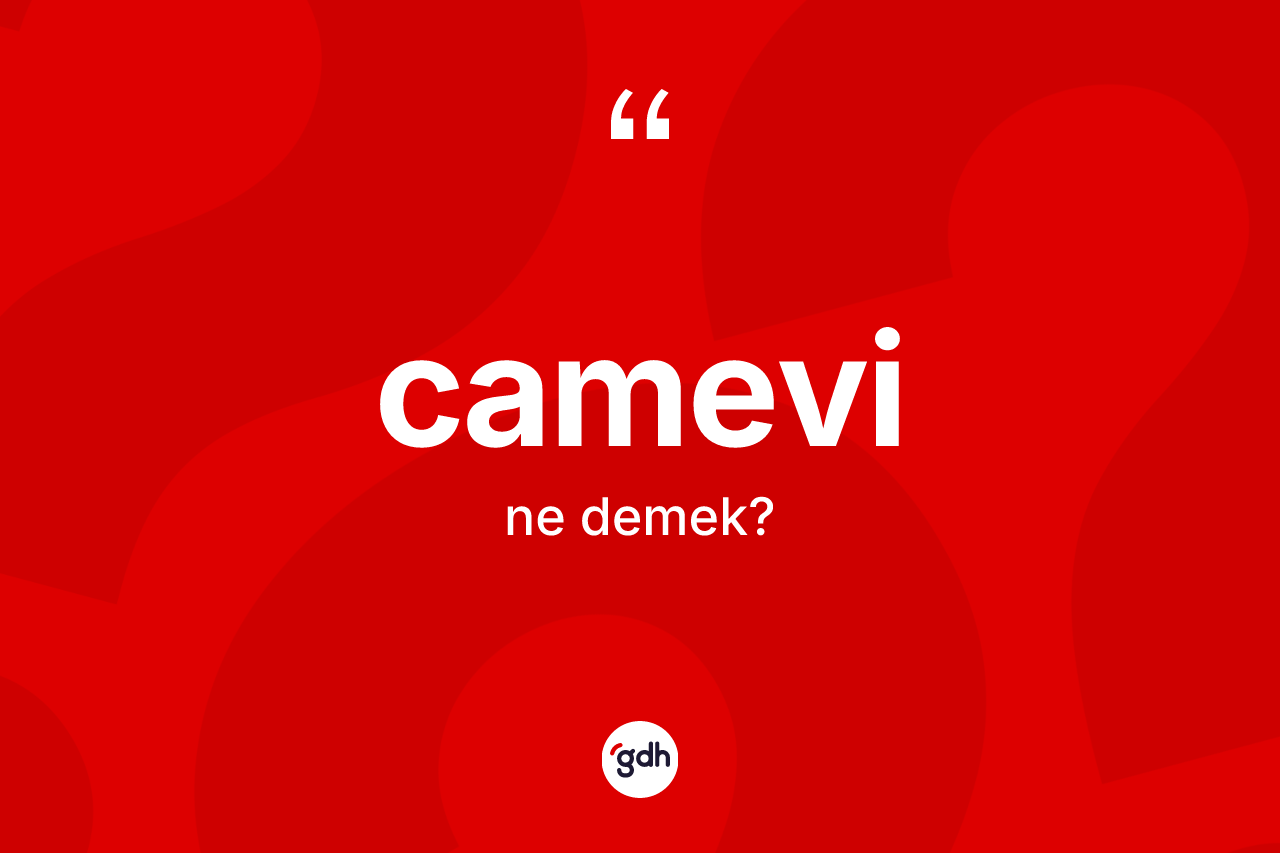 Camevi kelimesinin sözlükteki tanımı nedir? Camevi kelimesinin TDK'ya göre açıklaması nedir?