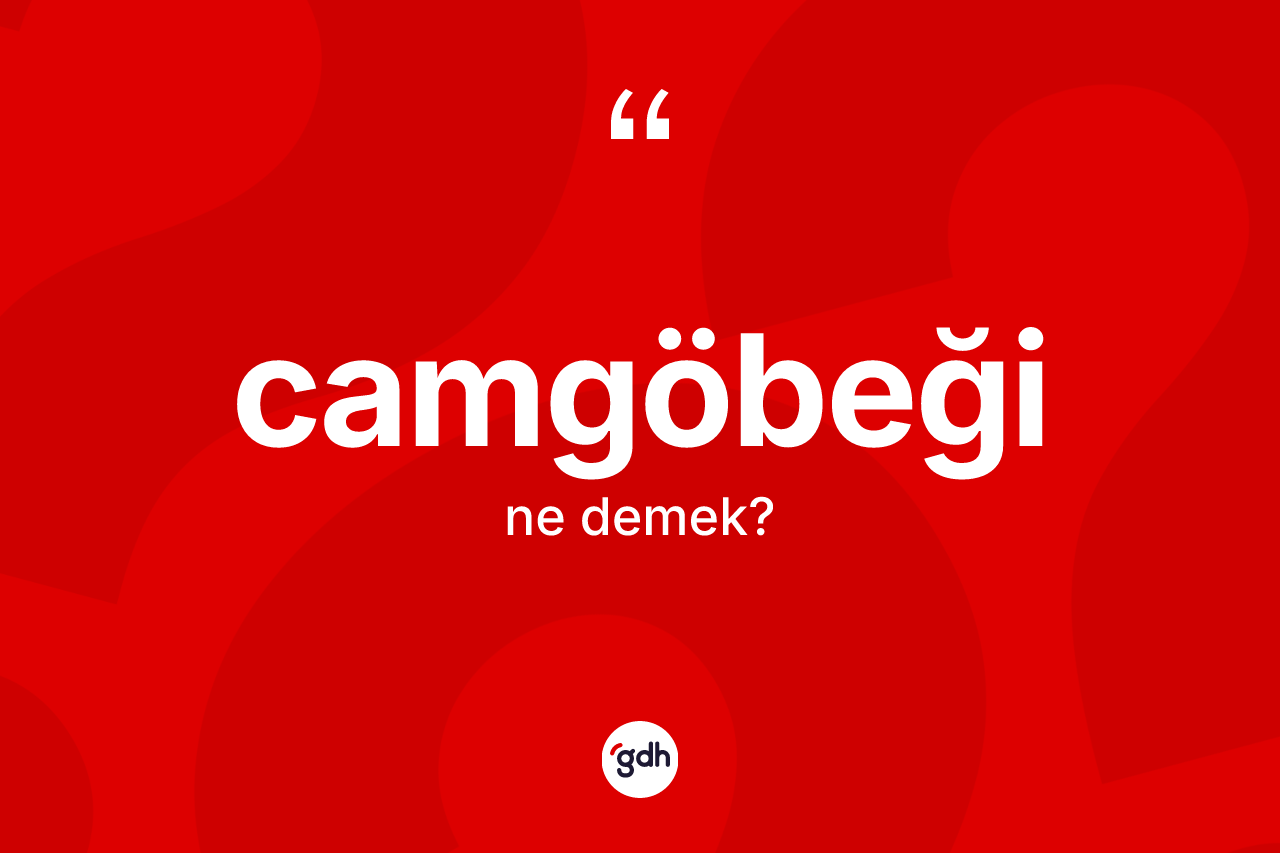 Camgöbeği kelimesinin sözlükteki tanımı nedir? Camgöbeğinin TDK'ya göre anlamı nedir?