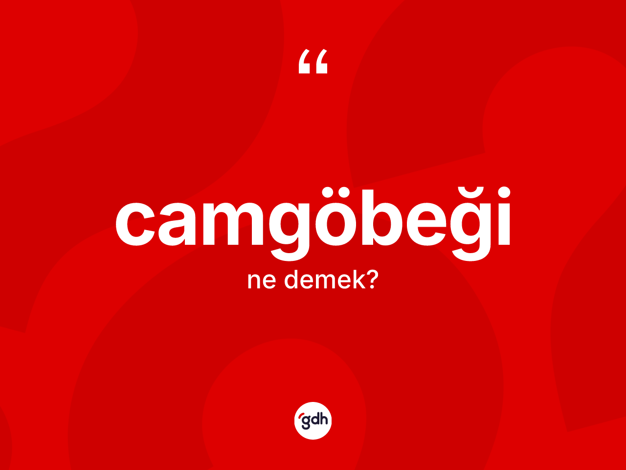 Camgöbeği kelimesinin sözlükteki tanımı nedir? Camgöbeğinin TDK'ya göre anlamı nedir?