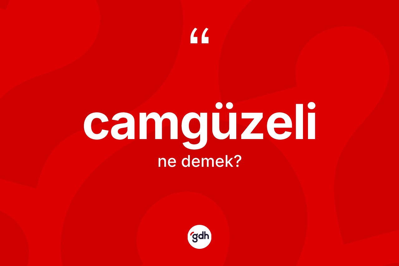 Camgüzeli kelimesinin sözlükteki tanımı nedir? Camgüzelinin TDK'ya göre anlamı nedir?