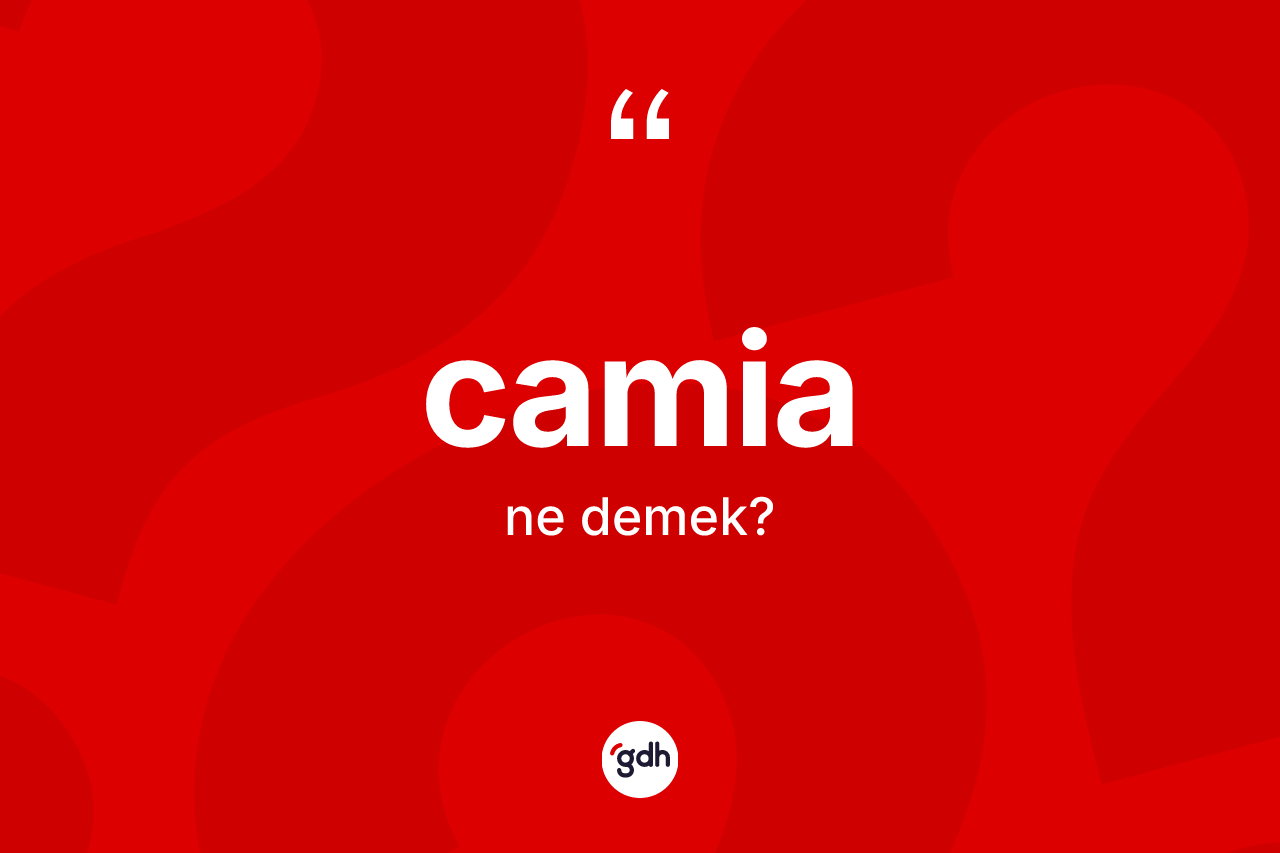 Camia kelimesinin tanımı nedir? Camianın sözlükteki anlamı nedir?