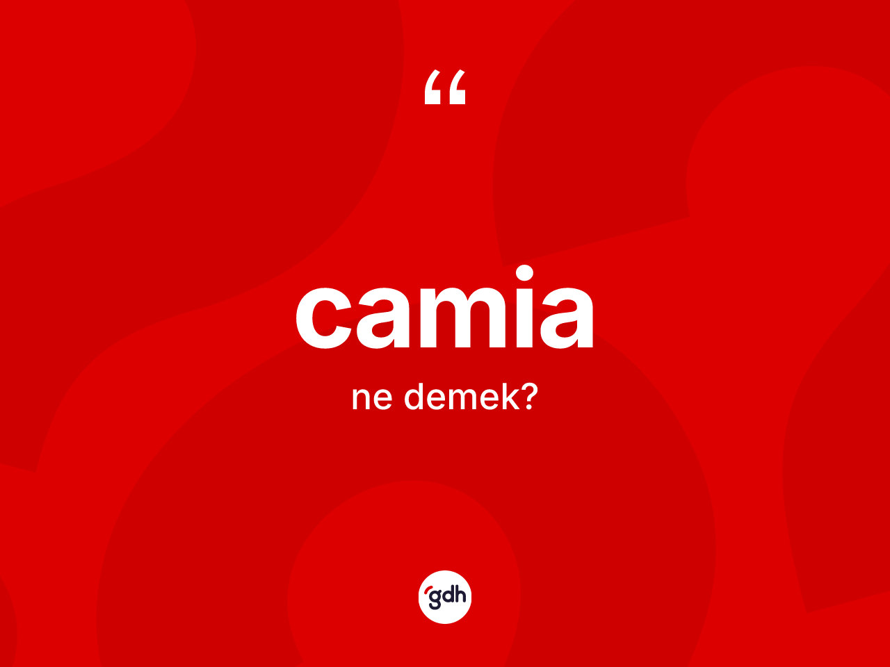 Camia kelimesinin tanımı nedir? Camianın sözlükteki anlamı nedir?