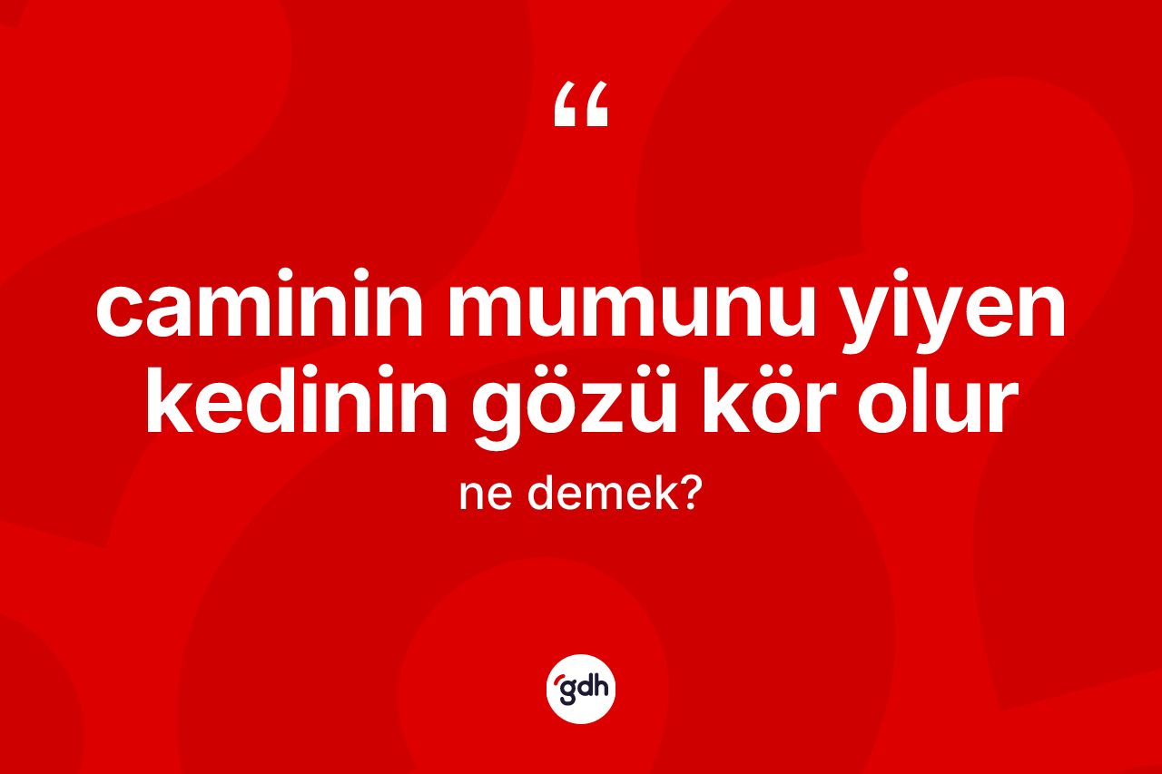 Caminin mumunu yiyen kedinin gözü kör olur ifadesinin anlamı nedir?