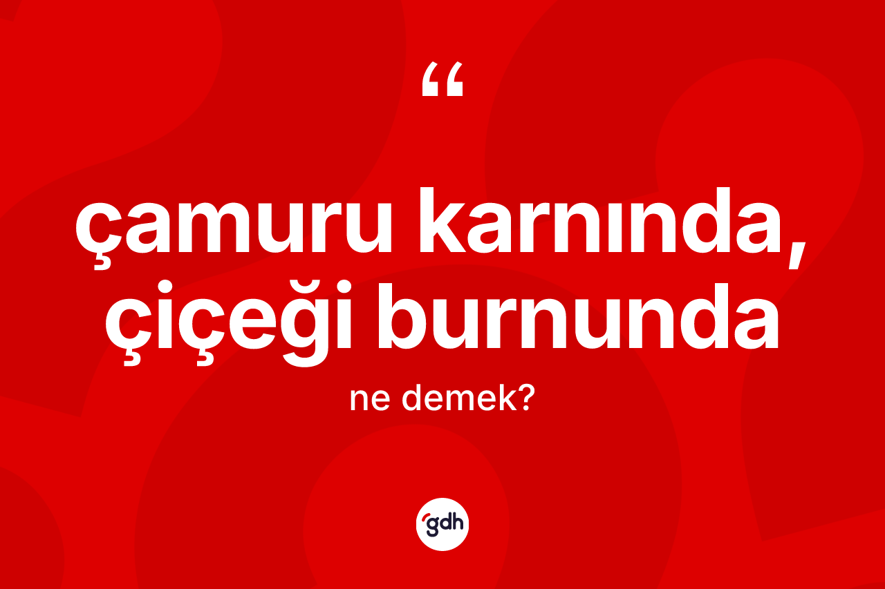 Çamuru karnında, çiçeği burnunda ifadesinin kısaca anlamı nedir?