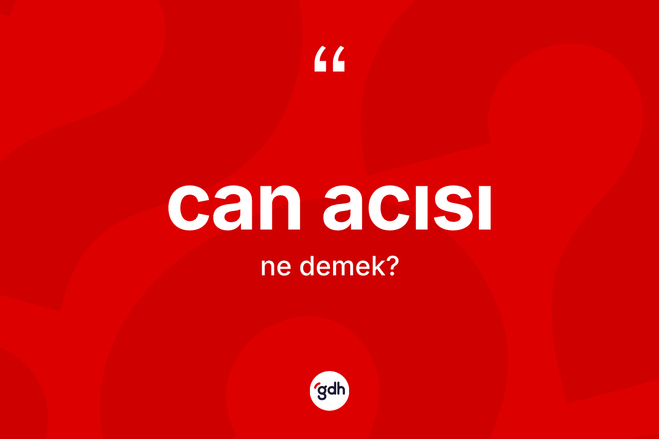 Can acısı kelimesinin sözlükteki tanımı nedir? Can acısının TDK'ya göre anlamı nedir?