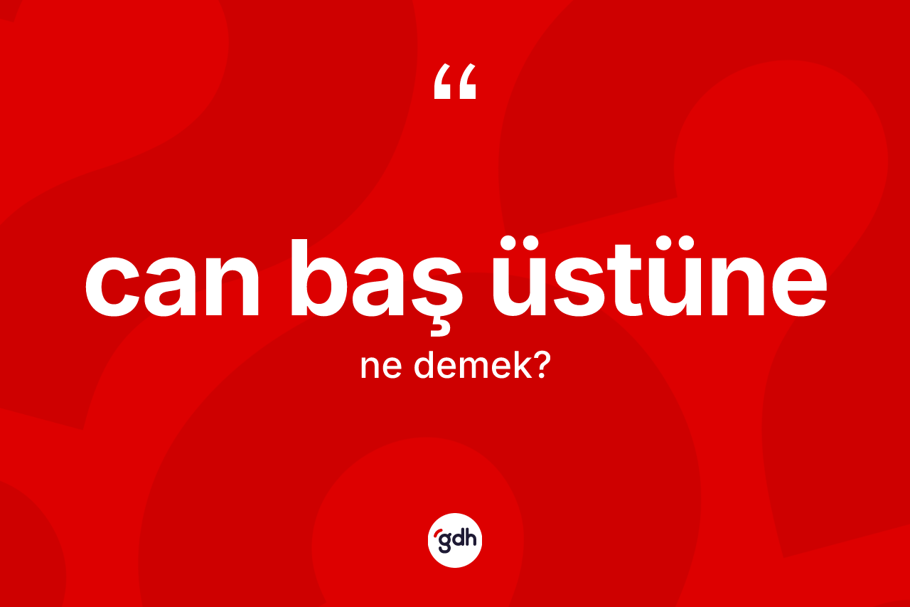 Can baş üstüne ifadesinin anlamı nedir?