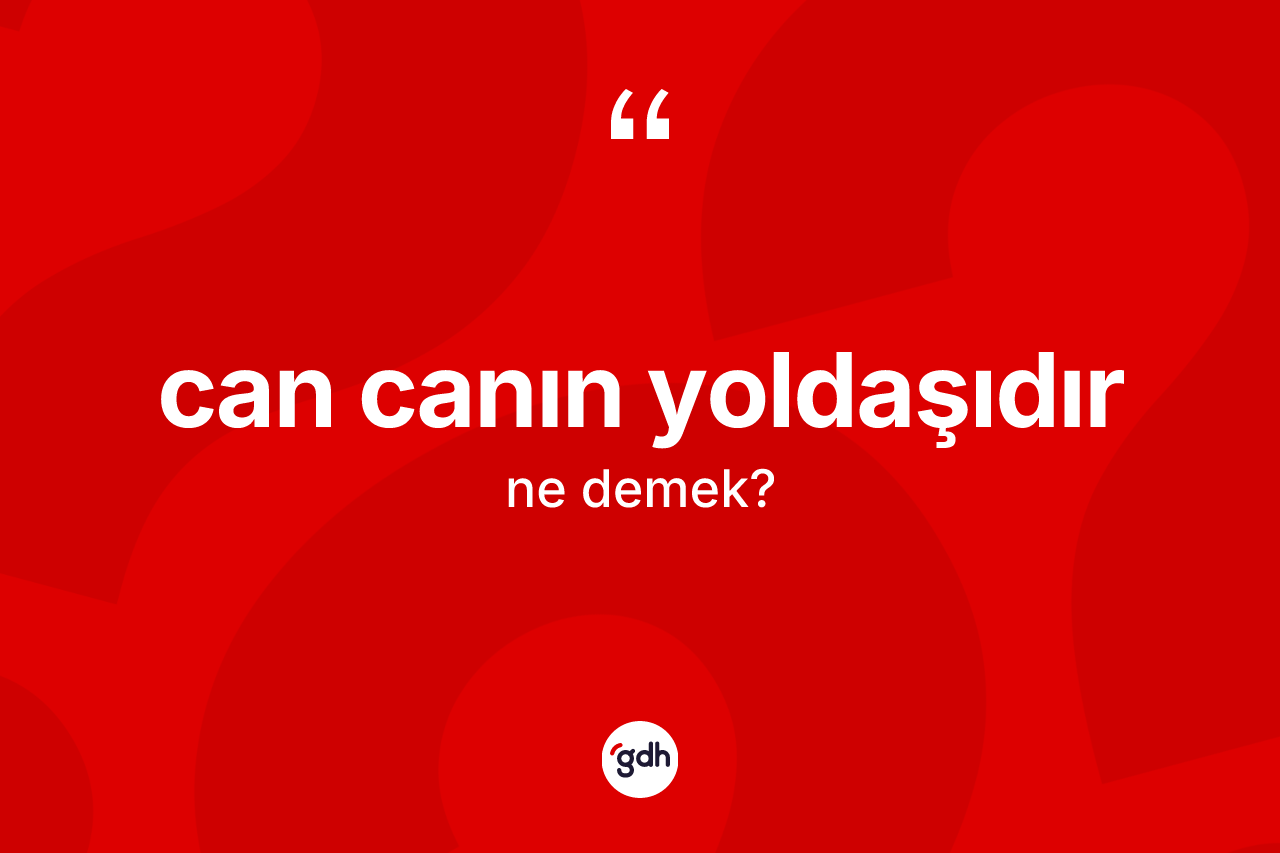 Can canın yoldaşıdır ifadesinin kısaca tanımı nedir? Can canın yoldaşıdır ifadesi nerede kullanılır?