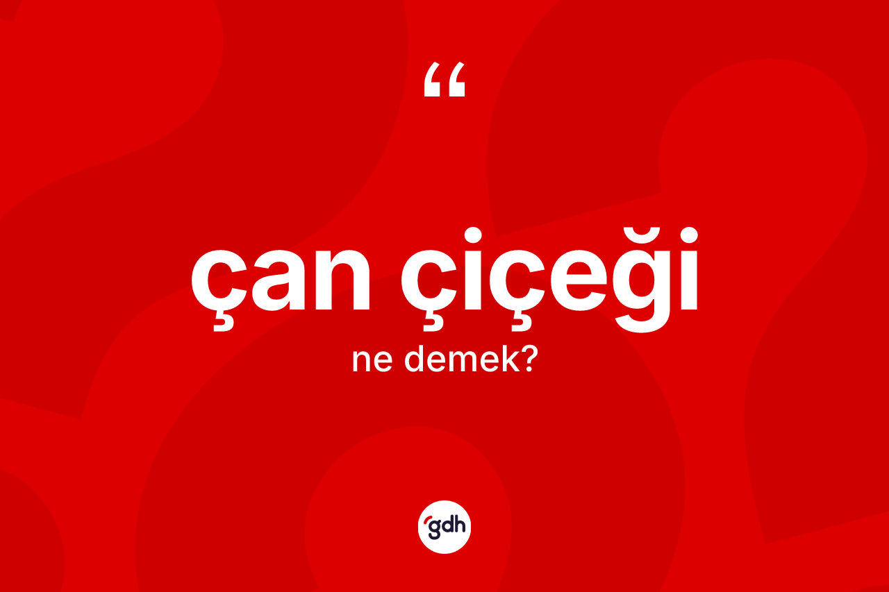 Çan çiçeği nedir?