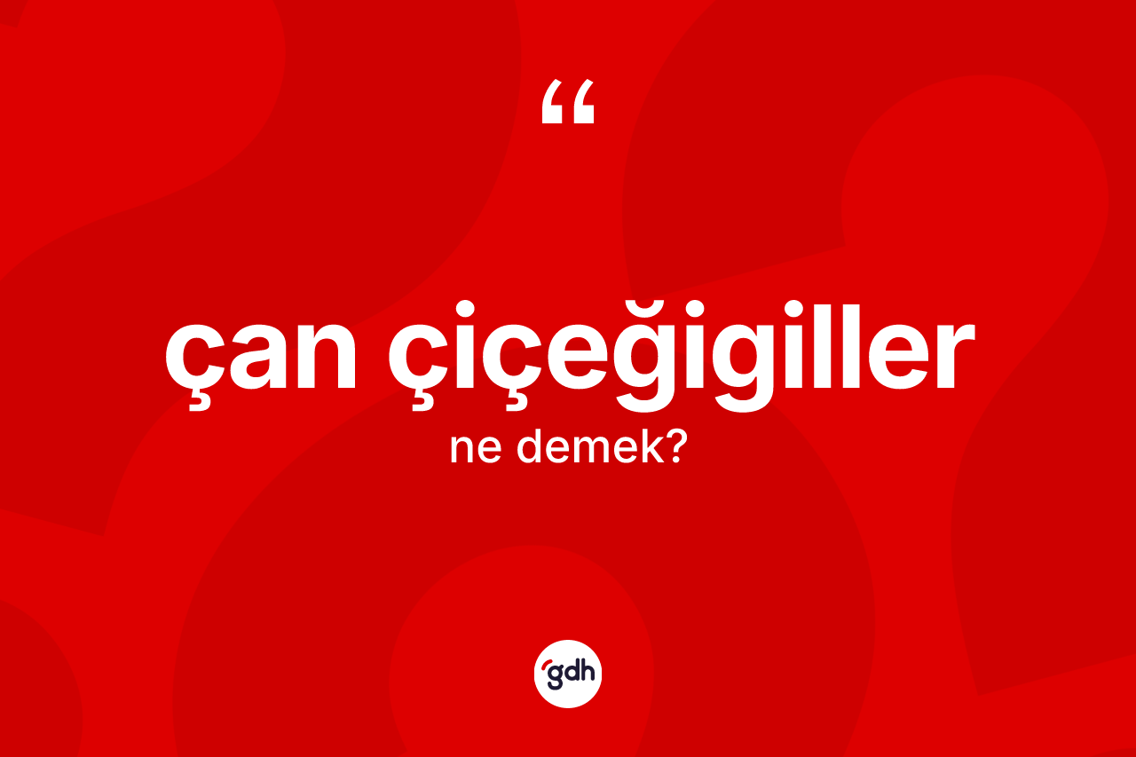 Çan çiçeğigiller kelimesinin sözlükteki tanımı nedir?