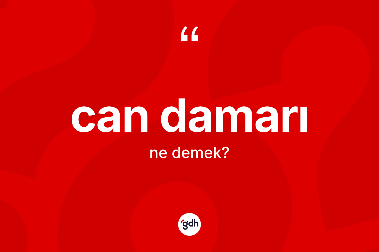 Can damarı kelimesi ne demek? Can damarının TDK'ya göre anlamı nedir?
